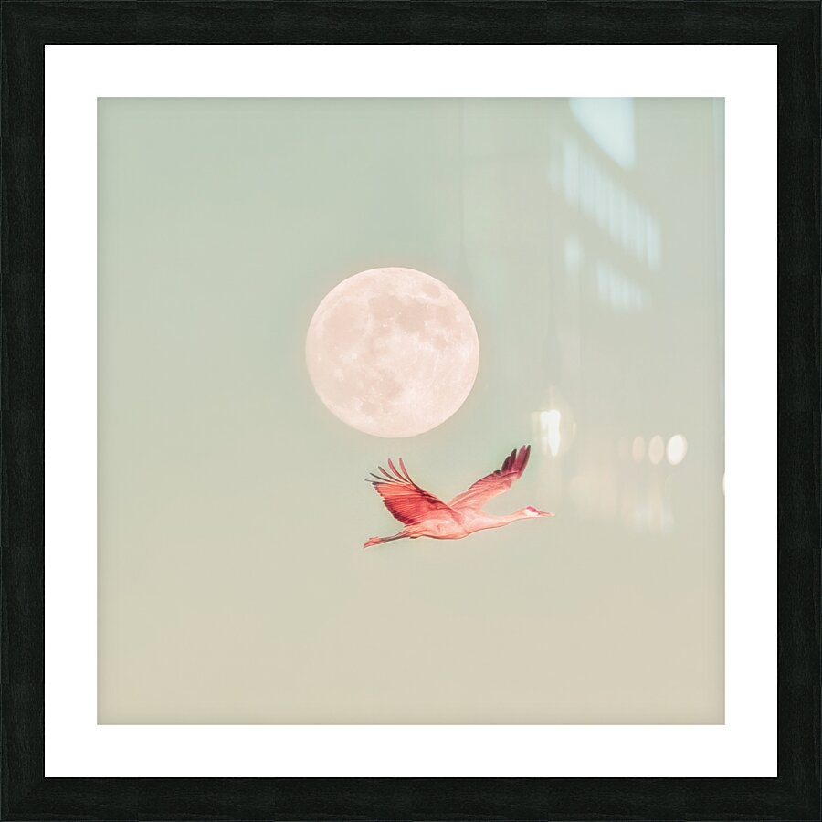 Crane Moon Picture Frame print