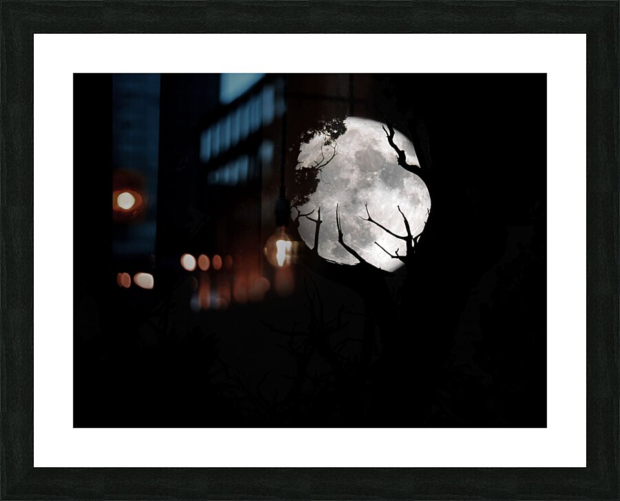 Moon 1 Picture Frame print