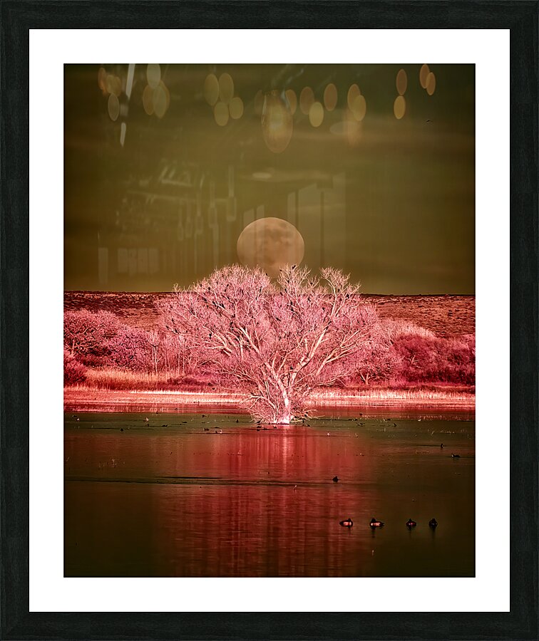 IR Moon 14 Picture Frame print