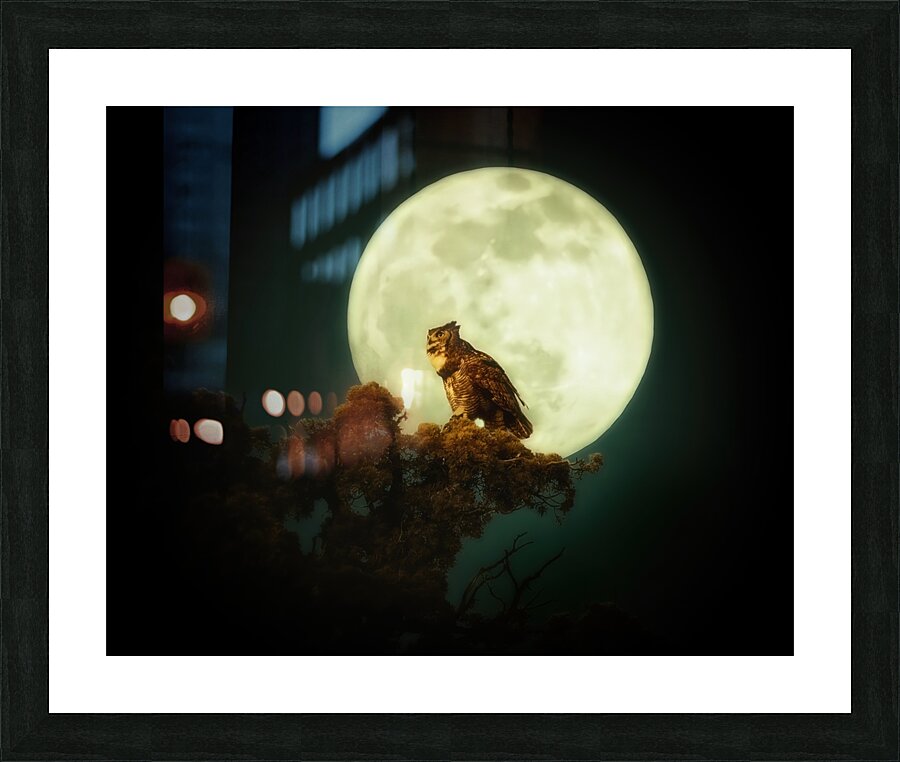 Owl Moon Picture Frame print