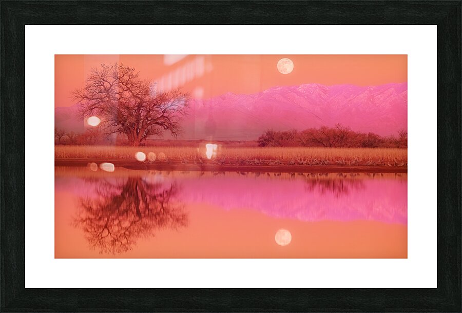IR Moon 15 Picture Frame print