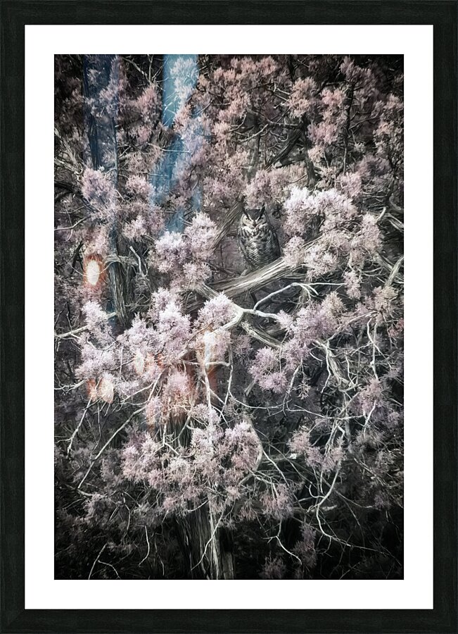 IR Owl Picture Frame print