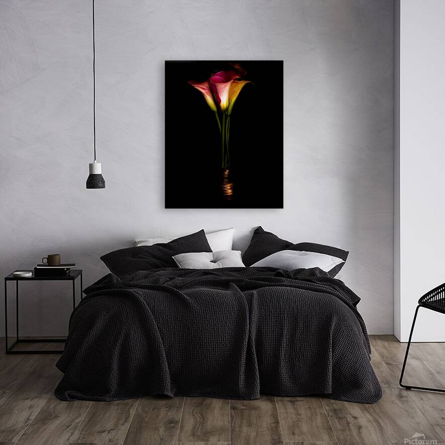 Calla Lilies Reproduction