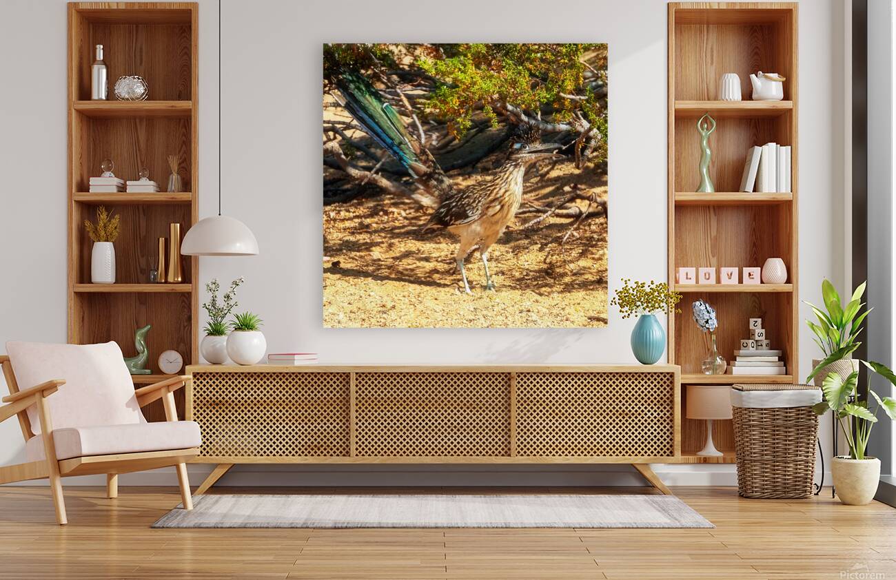 Roadrunner 4 Reproduction