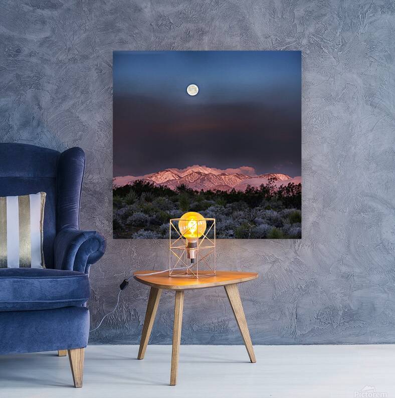 Moon 19 Reproduction