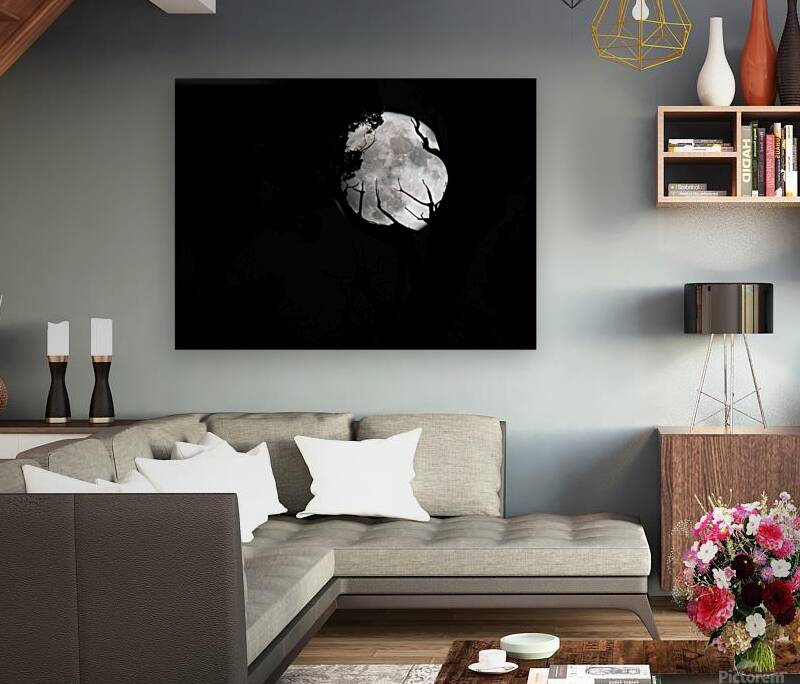 Moon 1 Reproduction