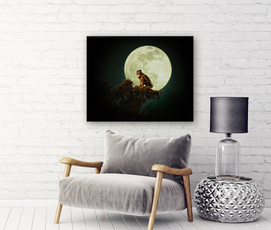 Owl Moon Reproduction