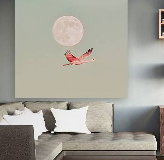 Crane Moon by Stephen K Hartley