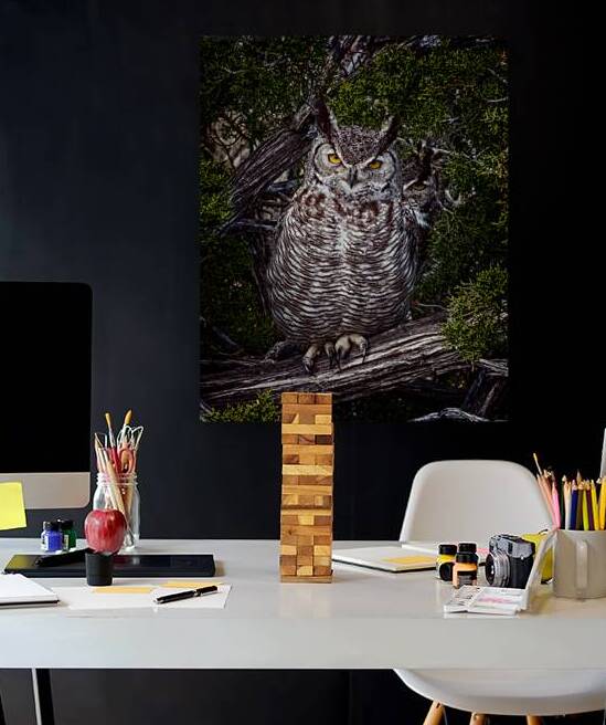 Owls 2 by Stephen K Hartley
