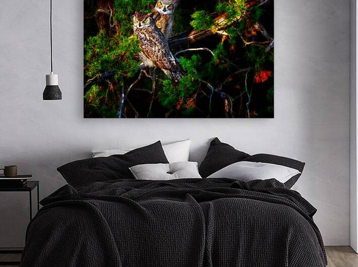 Owls 3 by Stephen K Hartley