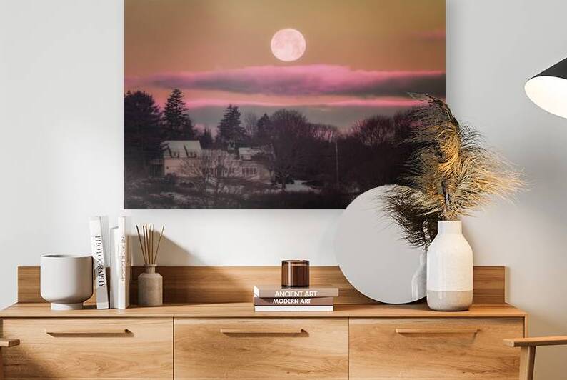 Wolf Moon in Maine Infrared by Stephen K Hartley
