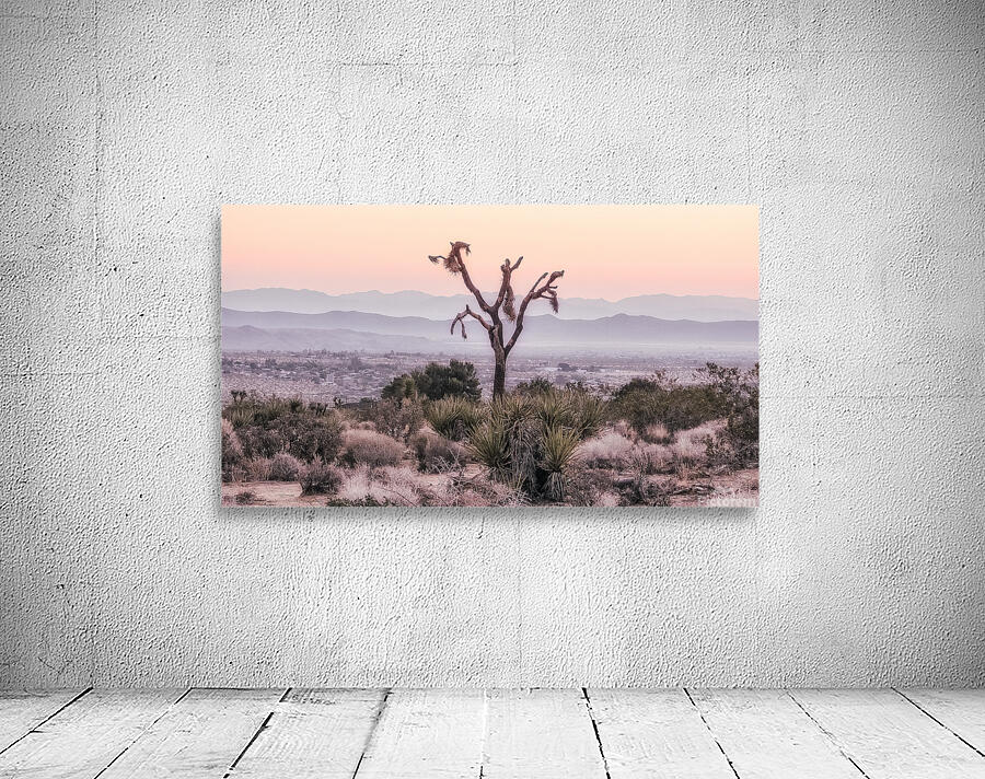 Joshua Tree 1 Wall Preview