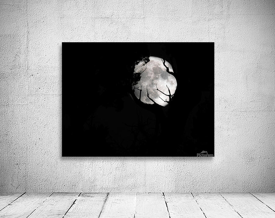 Moon 1 Wall Preview