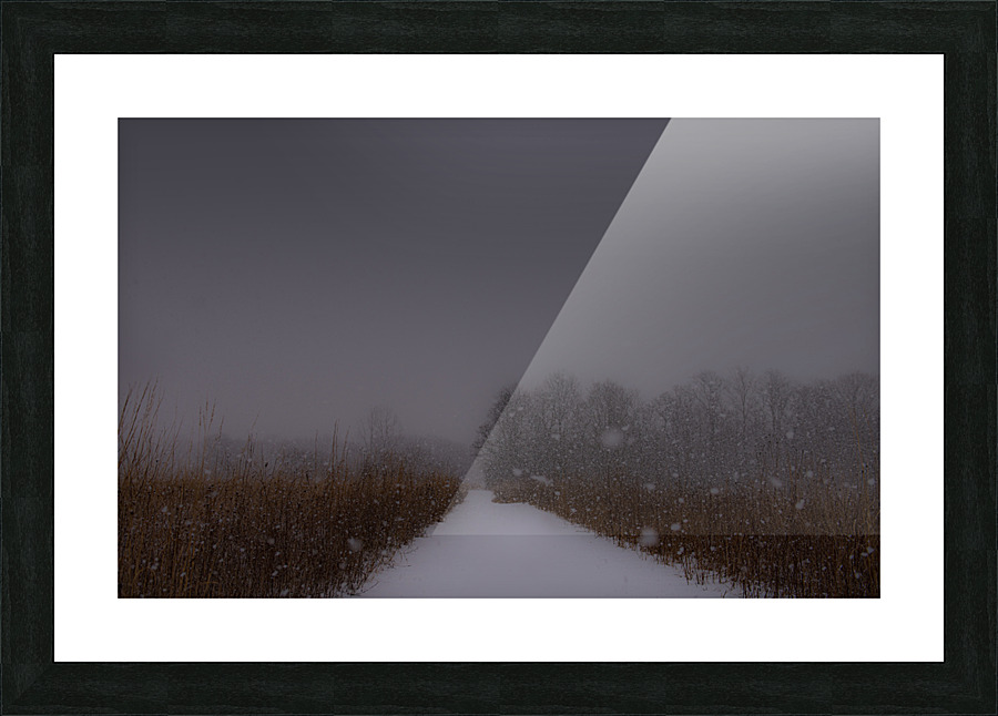 Snowy Path Picture Frame print