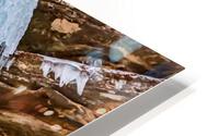 Frozen Wonder HD Metal print