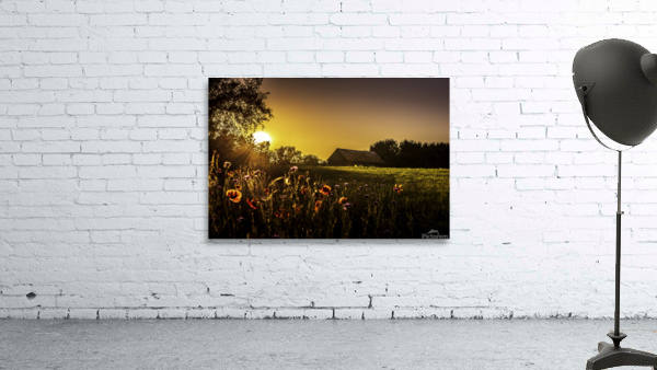 Flowers with a Purpose I Wall Preview