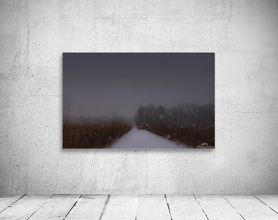 Snowy Path Wall Preview