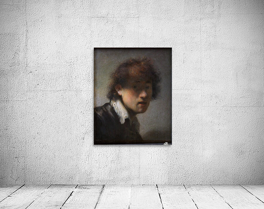 Harmensz. van Rijn Wall Preview