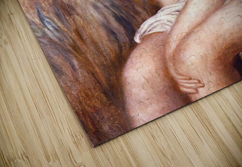 Young Girl Bathing Renoir puzzle