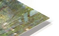 On the Terrace HD Metal print