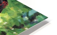 Summertime study HD Metal print