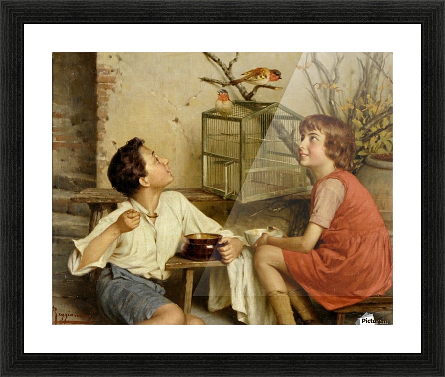 Birds Picture Frame print
