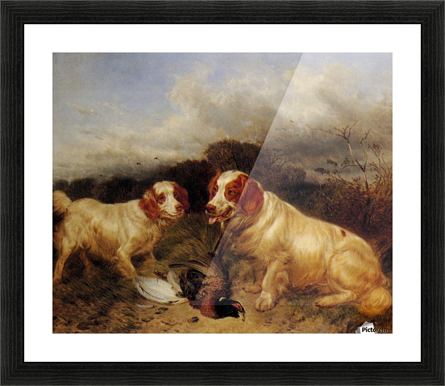 Two hunting dogs Picture Frame print