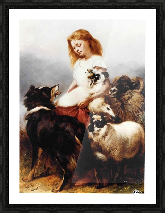 The Herd Lassie Picture Frame print