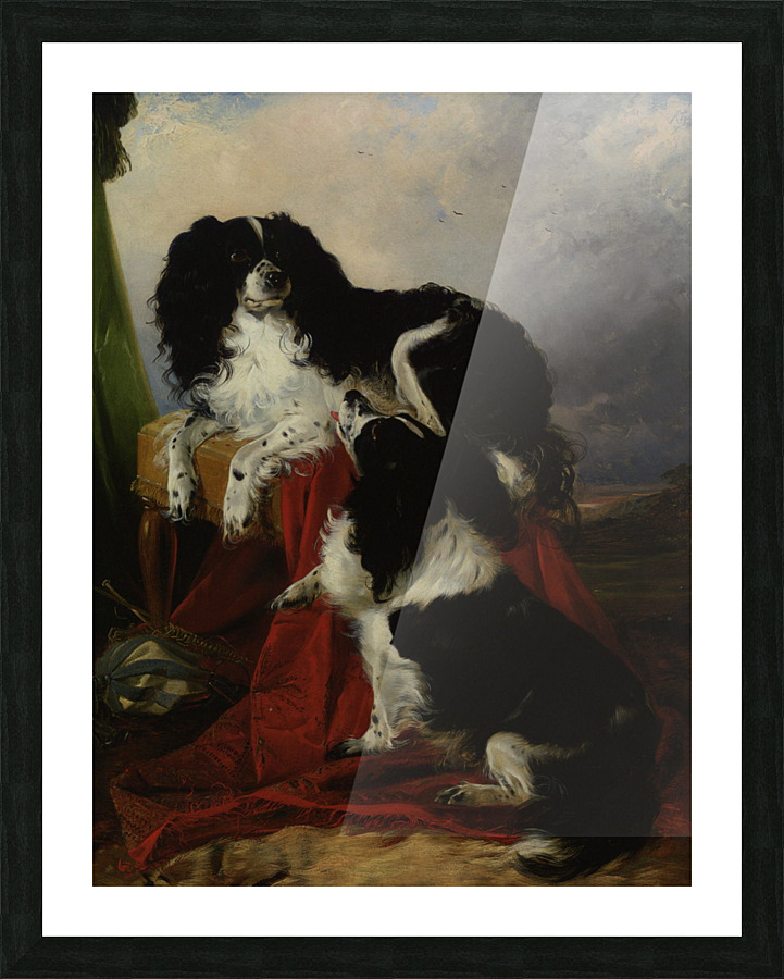 King Charles Spaniels Picture Frame print