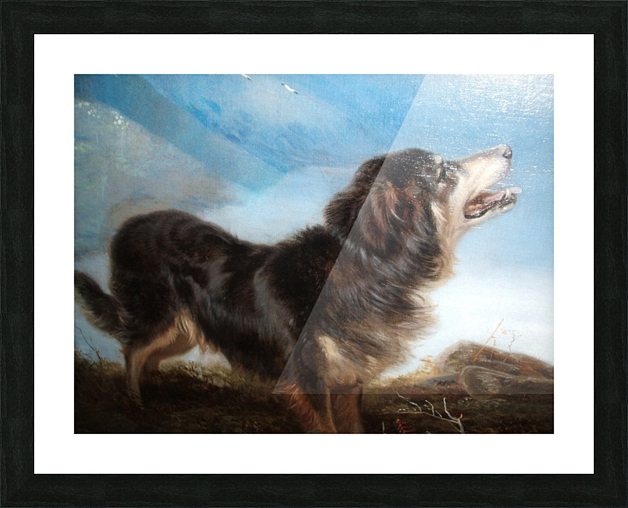 A lonely dog Picture Frame print