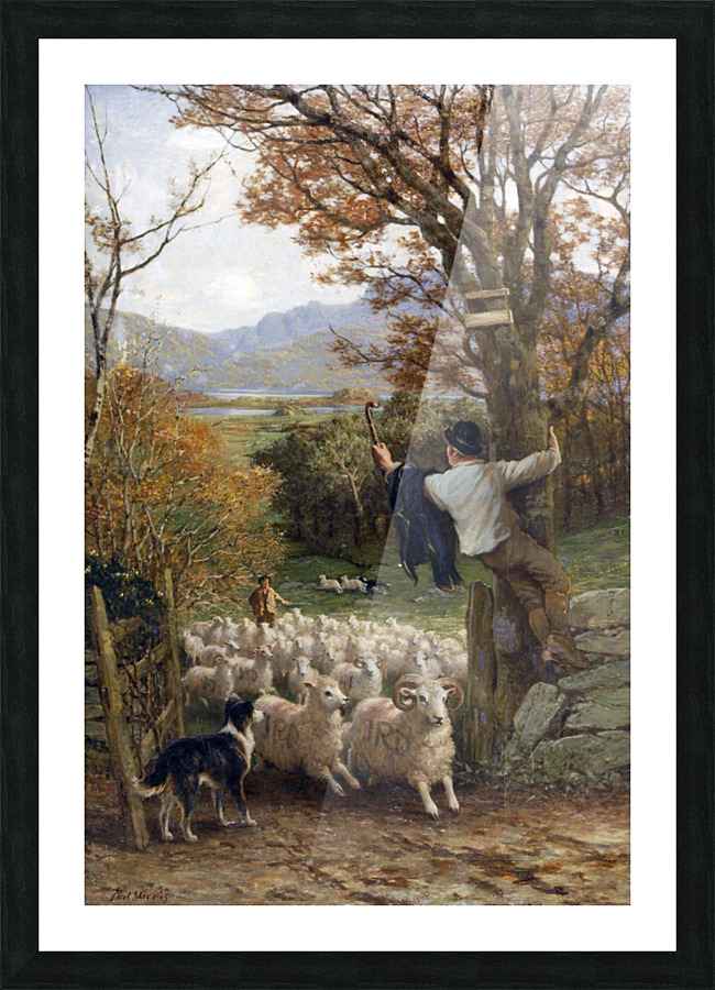 A Spanish Shepherd Picture Frame print