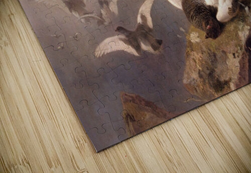 Birds Richard Ansdell puzzle