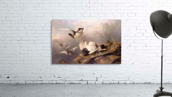 Birds Wall Preview