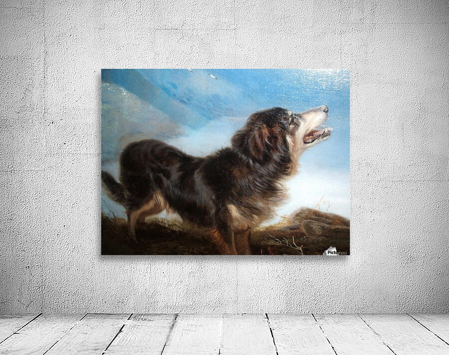 A lonely dog Wall Preview