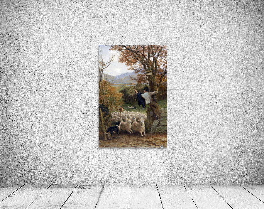 A Spanish Shepherd Wall Preview
