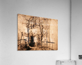 Heckenpfad Acrylic Print