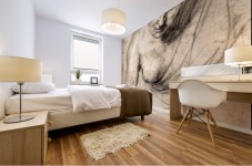 Female figure Mural print