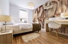 Horse studies Mural print