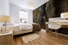 Lion Mural print