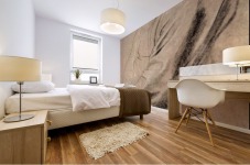 Sitting Greis Mural print