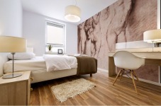 Three caryatids Mural print