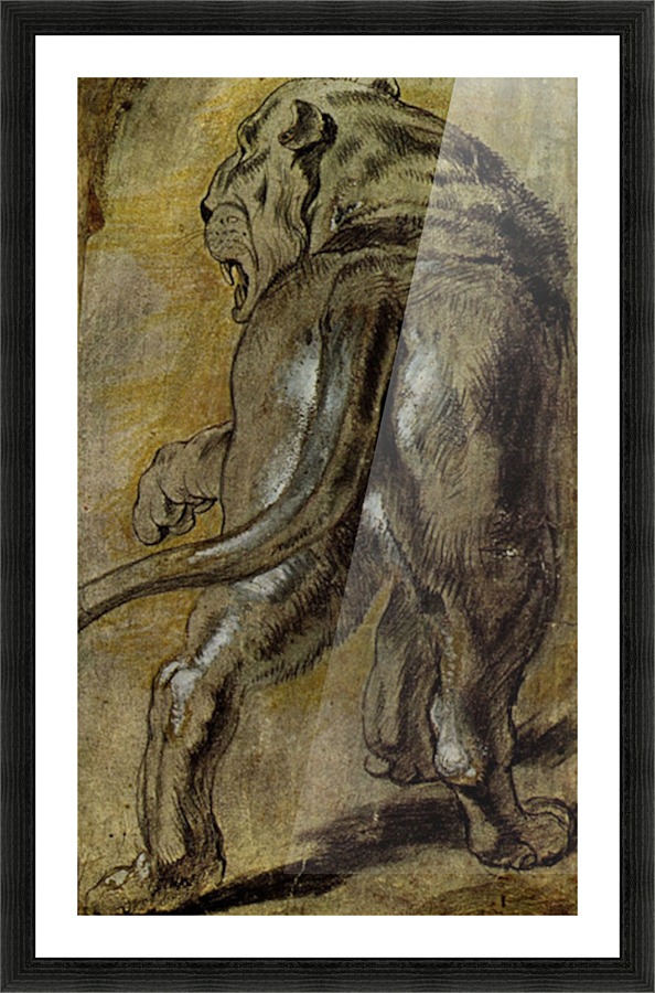 Lion Picture Frame print