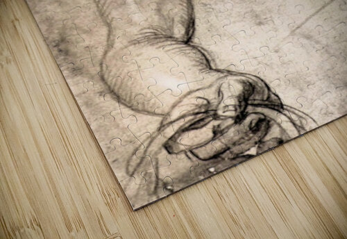 Female figure Rubens puzzle