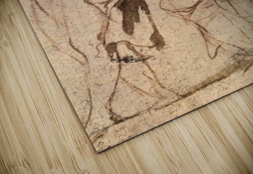 Figure Study Rubens puzzle