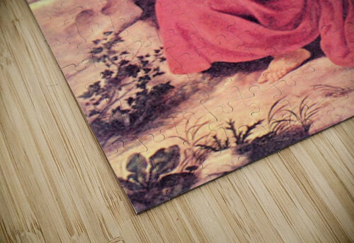 Hieronymus Rubens puzzle
