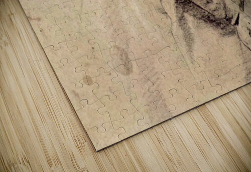Joseph Rubens puzzle