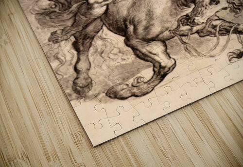 Reiter battle Rubens puzzle
