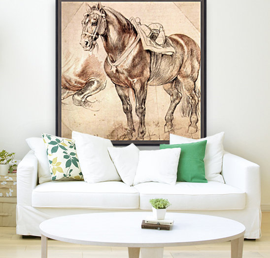 Horse studies Reproduction