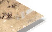 Joseph HD Metal print