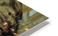 Lion HD Metal print